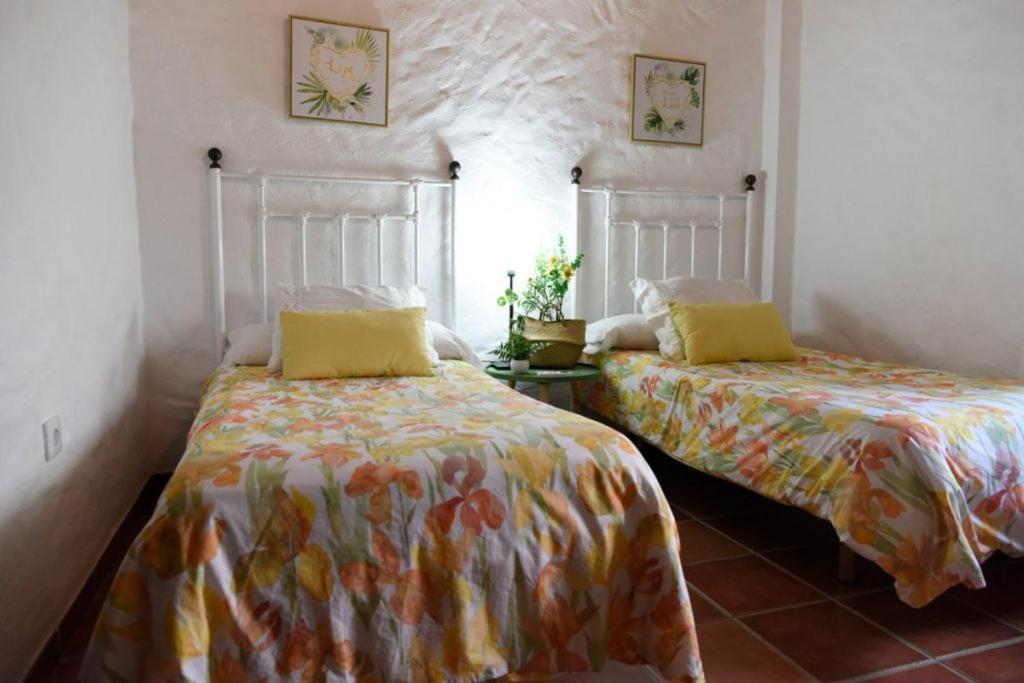 Hacienda San Francisco Villa Prado Del Rey Eksteriør billede